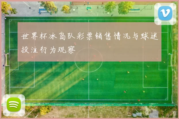 世界杯冰岛队彩票销售情况与球迷投注行为观察
