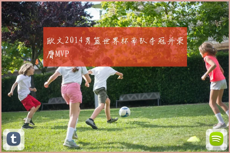 欧文2014男篮世界杯率队夺冠并荣膺MVP