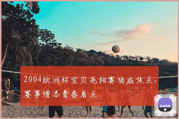2004欧洲杯宝贝亮相赛场成焦点，赛事增添青春看点